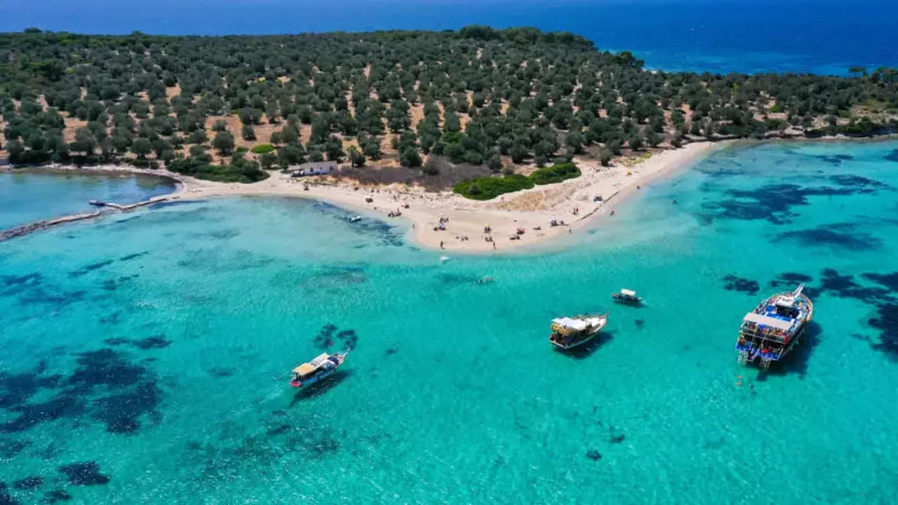 Dikili turkuaz koylar gün batımı tekne turu